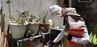 DF intensifica instalação de armadilhas contra o mosquito da dengue