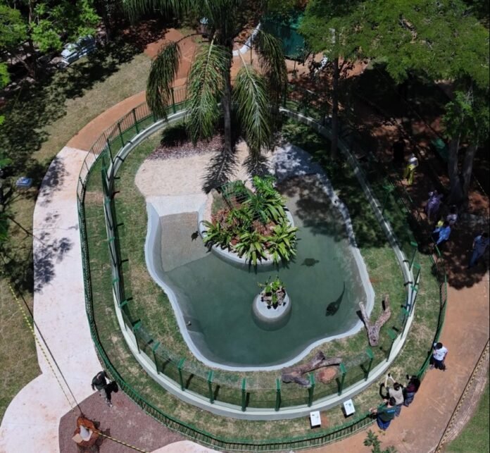 11.12.-Materia-Zoologico-de-Brasilia2-e1733929414799.jpeg