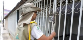 Distrito Federal recebe mutirão de combate à dengue neste sábado (14)