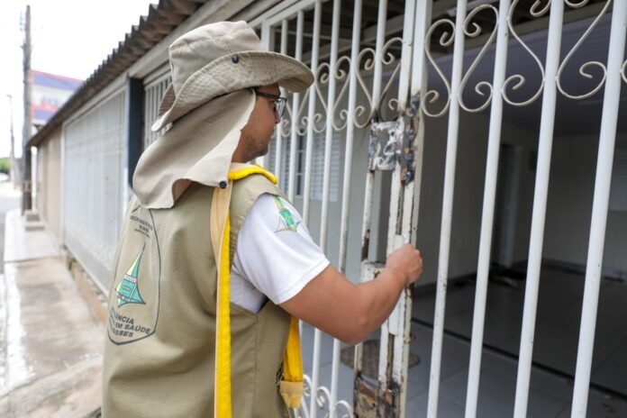 14.12.-Especial-Combate-a-dengue.-Foto-Matheus-H.-Souza-Agencia-Brasilia-CAPA.jpeg