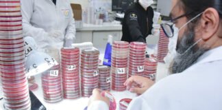 Aberto processo seletivo para médico, farmacêutico e analista contábil