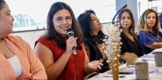 Conselho dos Direitos da Mulher define planejamento estratégico para 2025