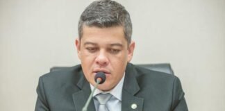 CLDF aprova projeto que impede condenados por maus-tratos de adotarem animais