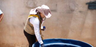 Saúde visita 3,9 mil casas em Dia D contra a dengue no Distrito Federal