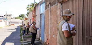 DF tem queda de 81% no número de casos de dengue frente a 2023
