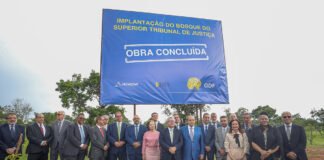 STJ inaugura bosque com 2 mil mudas doadas e plantadas pelo GDF