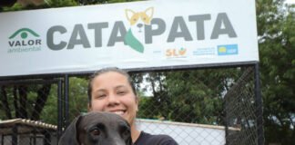 Das ruas para um novo lar: em um ano, projeto Cata Pata resgata 65 cachorros