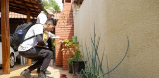 Ceilândia recebe Dia D de mobilização nacional contra a dengue neste sábado (14)