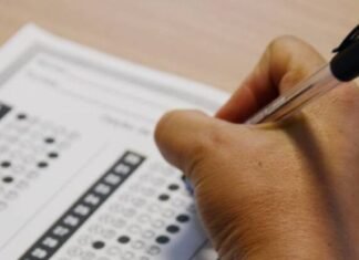 Senappen: Ganhos iniciais de até R$ 6,6 mil