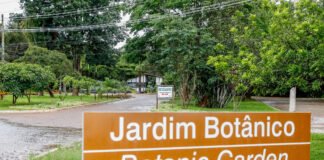 Jardim Botânico de Brasília aprimora ações de conservação da flora do Cerrado