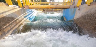 Caesb vence o Prêmio Nacional de Qualidade de Saneamento 2024