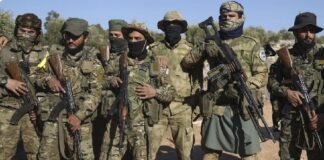 Rebeldes sírios dizem ter tomado a cidade de Hama