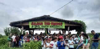 Projeto diverte e ensina alunos da Escola Classe Córrego do Meio sobre preservação ambiental