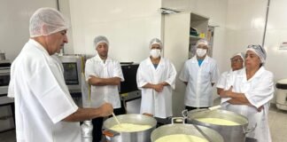 Produtores rurais participam de curso de produção de queijos finos