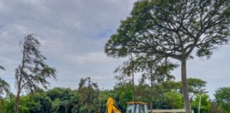 Reforma das churrasqueiras do Parque da Cidade tem início
