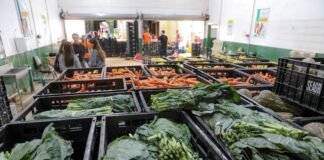 Lançada quarta chamada pública para aquisição de alimentos da agricultura familiar no DF