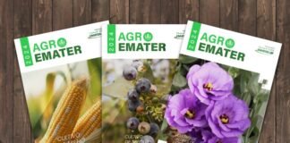 Novas edições de informativo técnico indicam tendências do agronegócio no DF