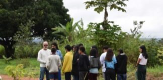Educação ambiental é incorporada ao currículo das escolas públicas do DF
