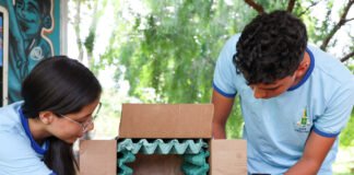 Projeto de alunos do ensino médio propõe soluções sustentáveis para melhorar a acústica escolar