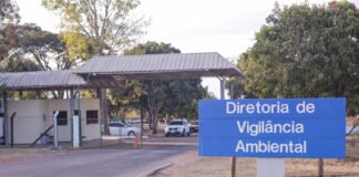 No DF, Zoonoses é referência para receber animais com doenças transmissíveis aos humanos