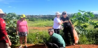 Parque Ecológico do Riacho Fundo recebe primeiro plantio do ano