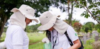 Ação de combate à dengue é realizada no cemitério Campo da Esperança