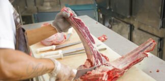 Vagas de emprego: 405 oportunidades no DF nesta sexta (3)