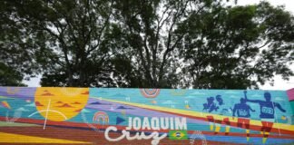Portais do Parque da Cidade ganham vida com obras de artistas locais