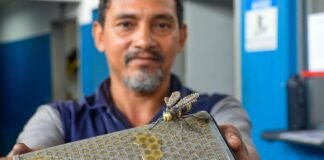 Funcionário do setor de lanternagem e pintura do DER transforma resíduos em esculturas