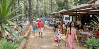 Banho de floresta no Jardim Botânico de Brasília oferece conexão com a natureza e relaxamento mental
