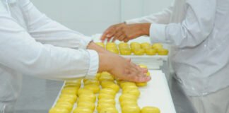 Agências do trabalhador oferecem 853 vagas de emprego nesta sexta-feira (17)