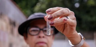 Agentes de Vigilância Ambiental são peças-chave para prevenir dengue