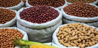 Agricultores familiares do DF receberão 250 kits de sementes para fortalecer produção sustentável