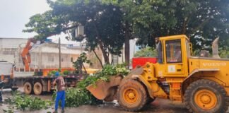 Mutirão retira lixo e entulho de áreas públicas para evitar alagamentos no Plano Piloto