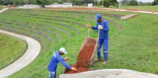 Plantio de mudas, grama e revestimento de piso marcam etapa de paisagismo do Drenar DF