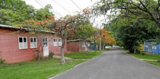 Com 25 mil visitantes em 2024, Museu Vivo da Memória Candanga fortalece vínculos com as raízes da capital