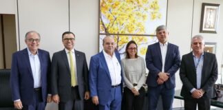 GDF apresenta projetos e ações de transição energética à Aneel