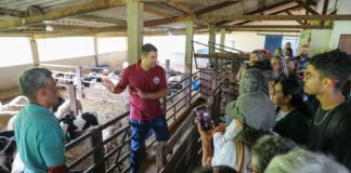 Agricultoras do DF aprendem práticas sustentáveis em visita à Fazenda Água Limpa