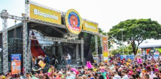 Conheça orientações para identificação de crianças e prevenção de desaparecimentos no Carnaval