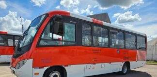 Região de São Sebastião terá transporte com ônibus Zebrinha