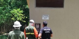 Operação conjunta encontra fábrica de sementes que furtava energia