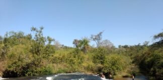 Parque Ecológico Córrego da Onça passa a ser denominado Estação Ecológica Córrego da Onça