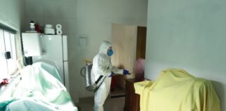 Saúde adota estratégia complementar para combate à dengue