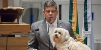 Projeto de lei exige monitoramento em creches e hotéis para pets