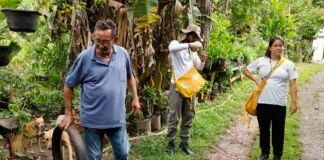 Vigilância Ambiental em Saúde fortalece ações contra a dengue no Varjão