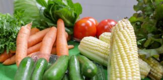 Produtores rurais vão representar DF em feira internacional do setor de frutas e hortaliças