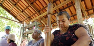 Cor natural: Artesãs da zona rural de Planaltina aprendem tingimento com plantas
