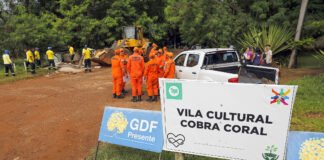 Vila Cobra Coral, na Asa Sul, recebe ação coordenada do GDF contra a dengue