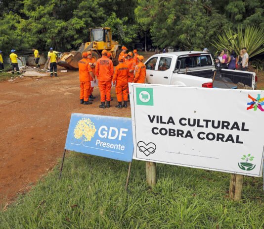 Vila Cobra Coral, na Asa Sul, recebe ação coordenada do GDF contra a dengue