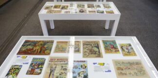 Biblioteca Nacional de Brasília lança mostra para celebrar o Dia do Quadrinho brasileiro